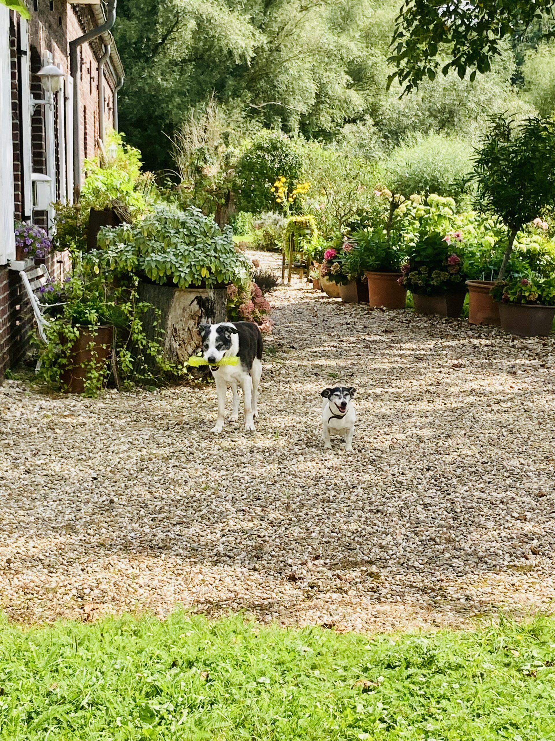 Psychotherapie am Niederrhein