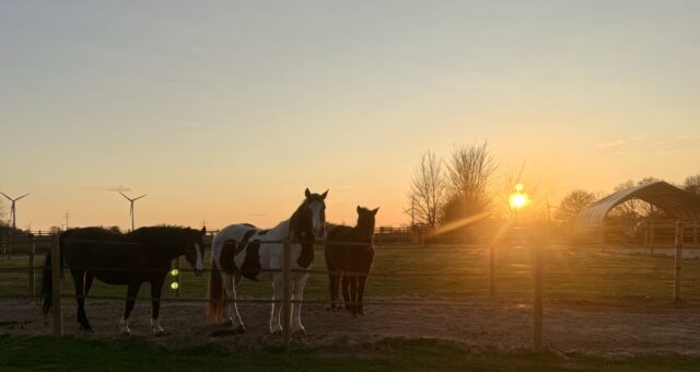 Generalisierte Angststörung – wirksame Therapie