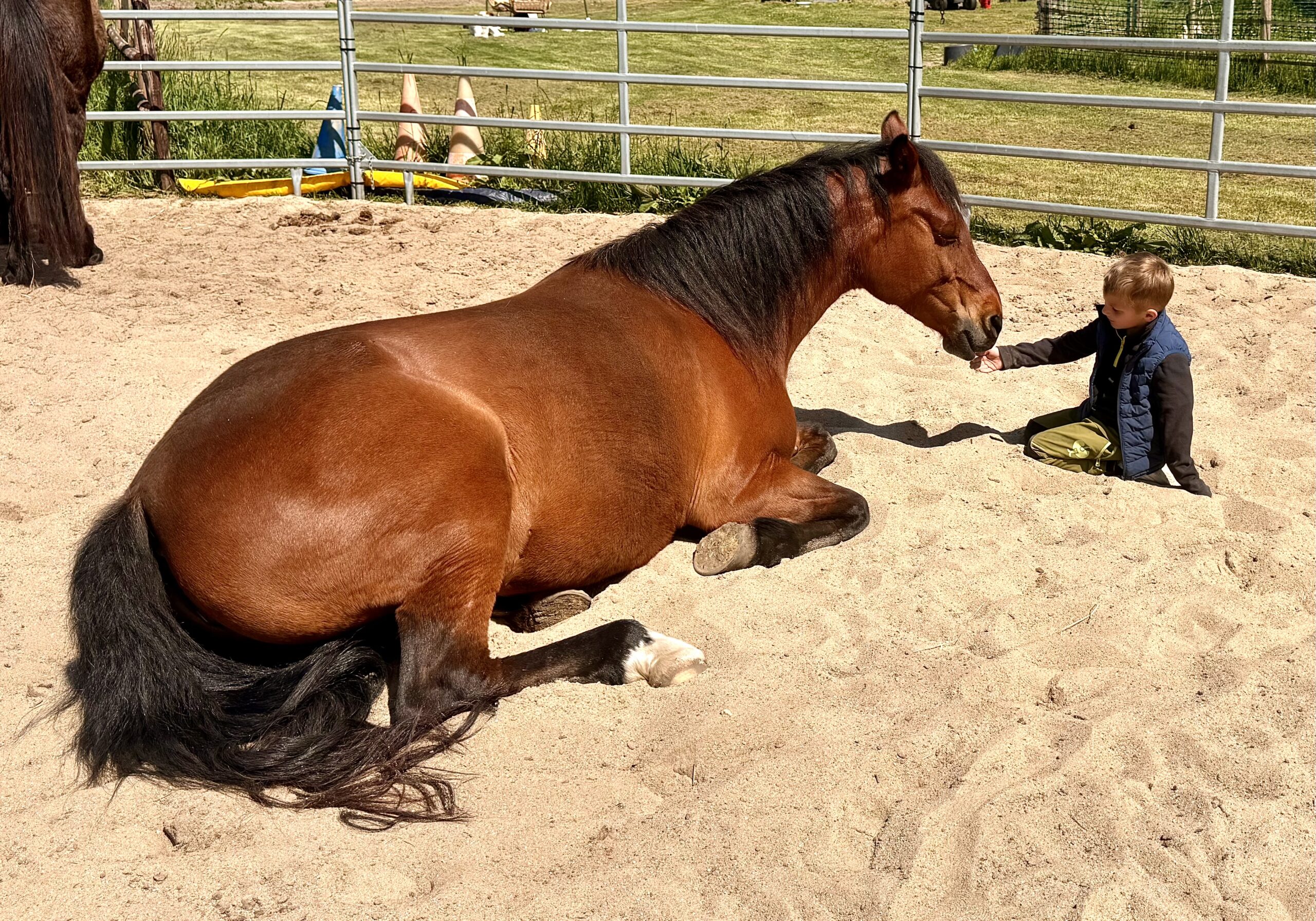 Therapie für Kinder und Jugendliche