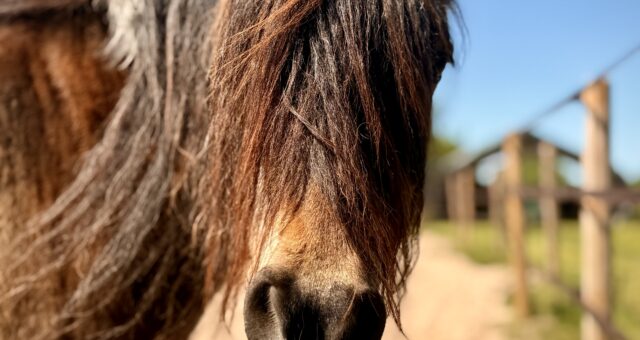 Was Sie selbst gegen psychosomatische Beschwerden tun können