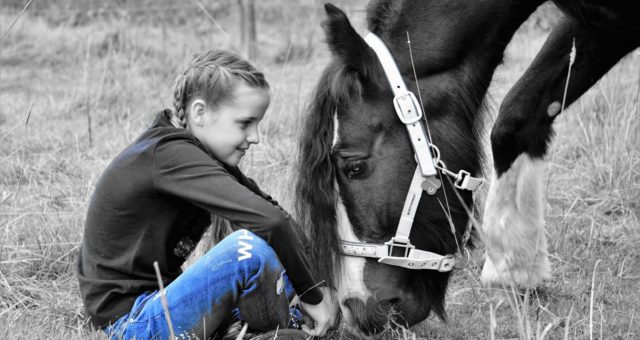 Die sechs großen Vorteile einer Therapie mit Pferden bei ADHS