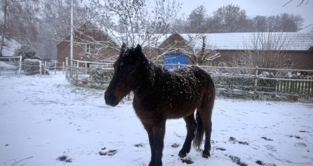 Könnte ich im Eltern-Burnout stecken? Und wenn ja – was dann?