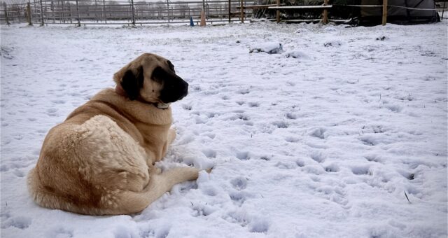 Mein Kind ritzt sich – was Eltern dann wissen müssen