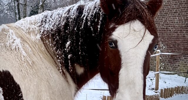 Selbstmitgefühl lernen