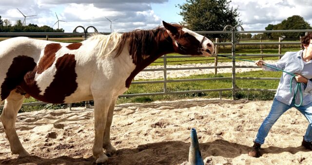 Schulverweigerung – wenn morgens nichts mehr geht