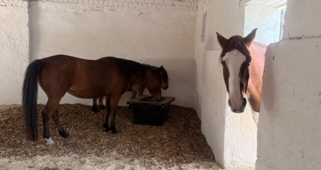 Mobbing in der Schule – und was Sie keinesfalls tun sollten!