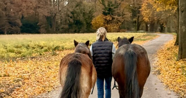 Es gibt immer eine Ursache – warum Symptome nicht der Feind sind