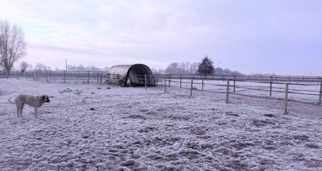 Eifersucht – ein Beziehungsmuster aus Angst und Kontrolle