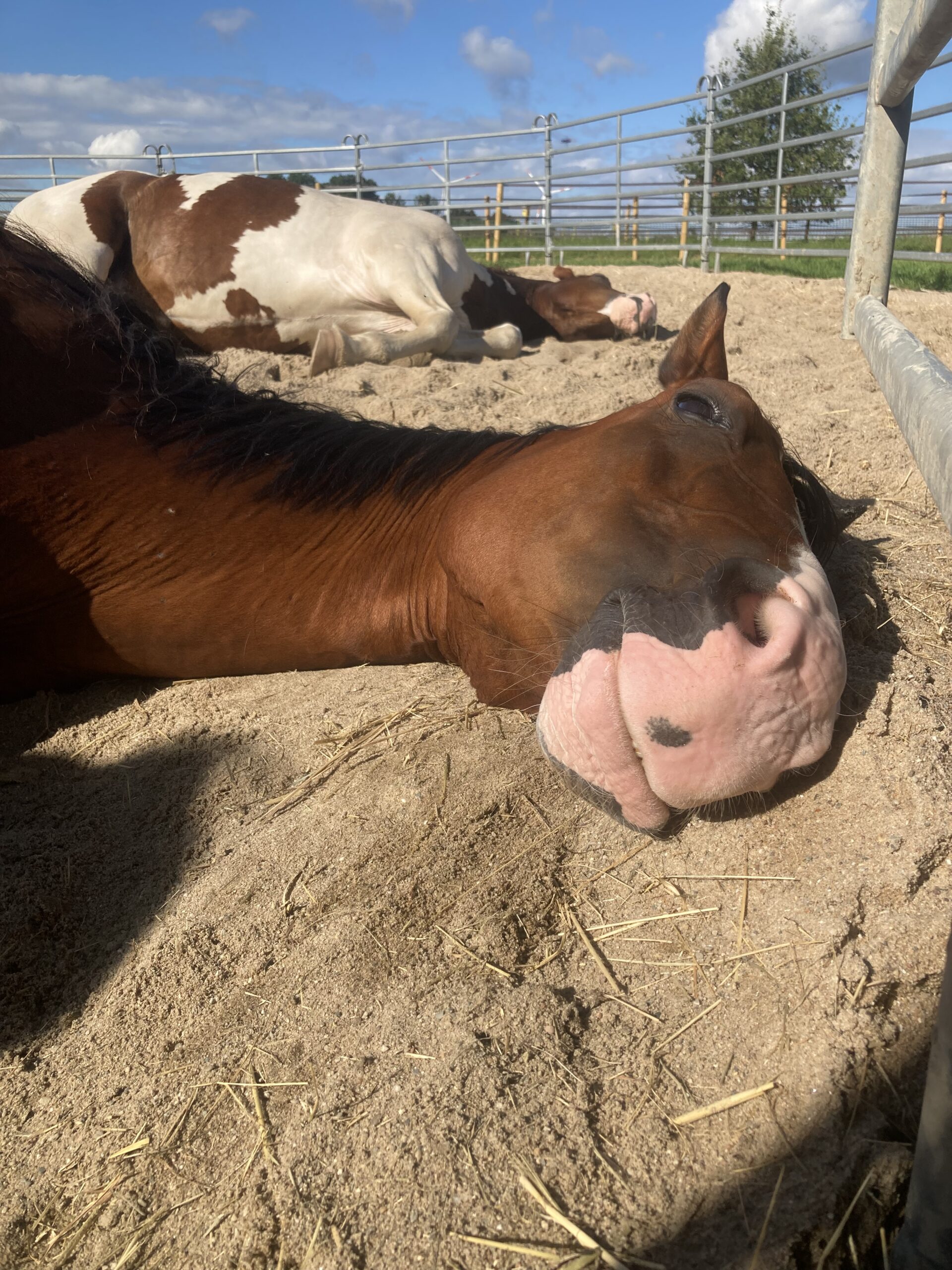 Schlafstörungen – wie kann Therapie helfen?