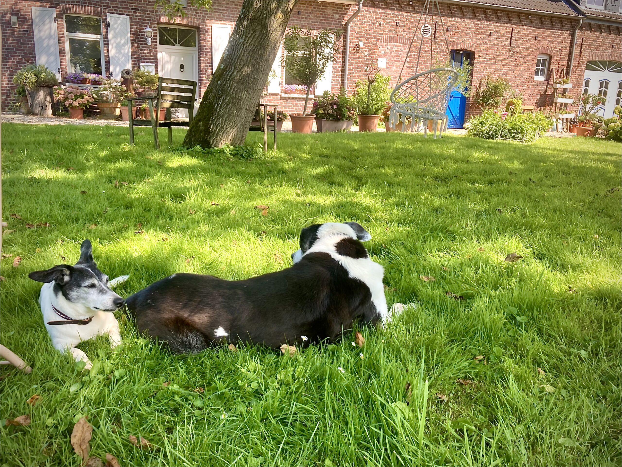 Kompakttherapie – Intensiv, fokussiert und zeitlich verdichtet