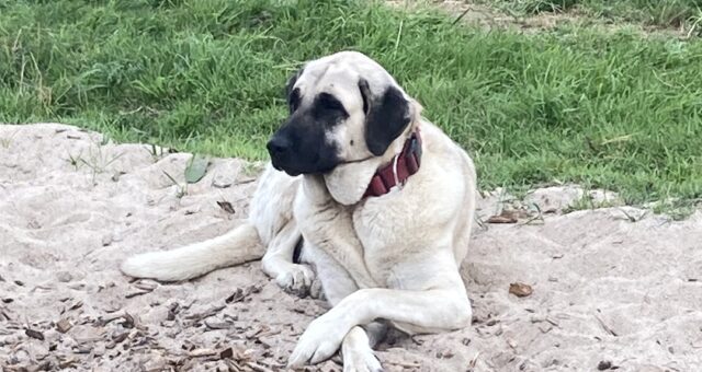 Introvertiert oder soziale Phobie? Wo die  Unterschiede sind!