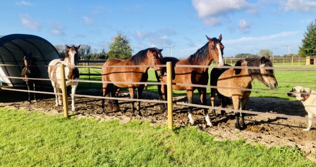 5 überzeugende Gründe, eine Psychotherapie selbst zu zahlen