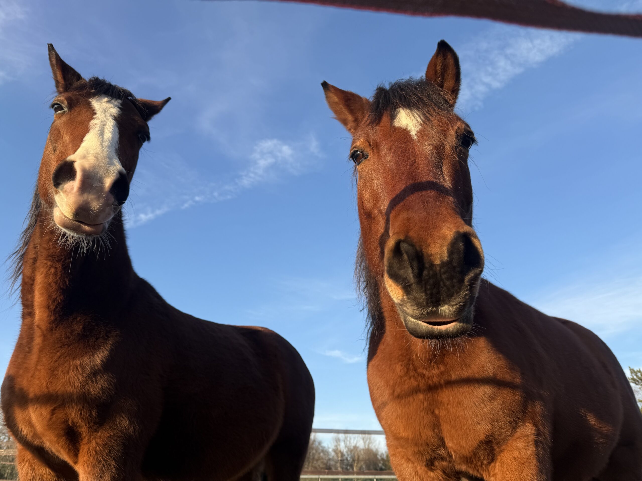Zwänge – Therapie mit innovativem Ansatz