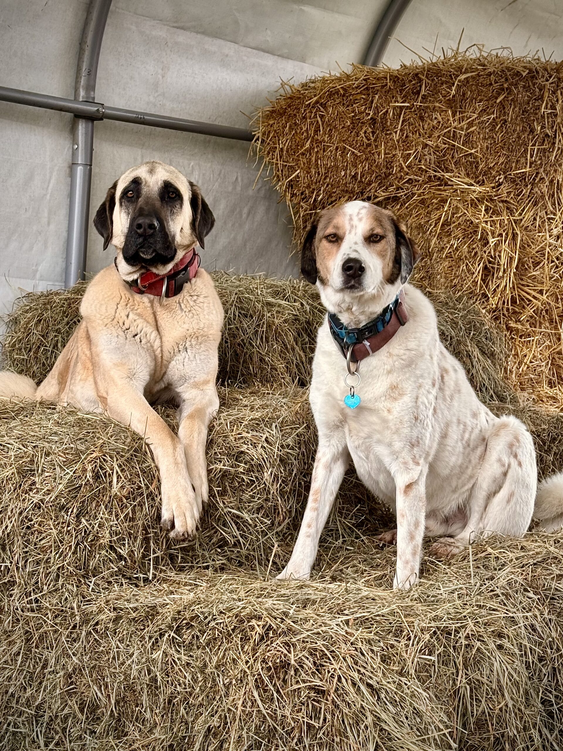 Bewertungen und Erfahrungen