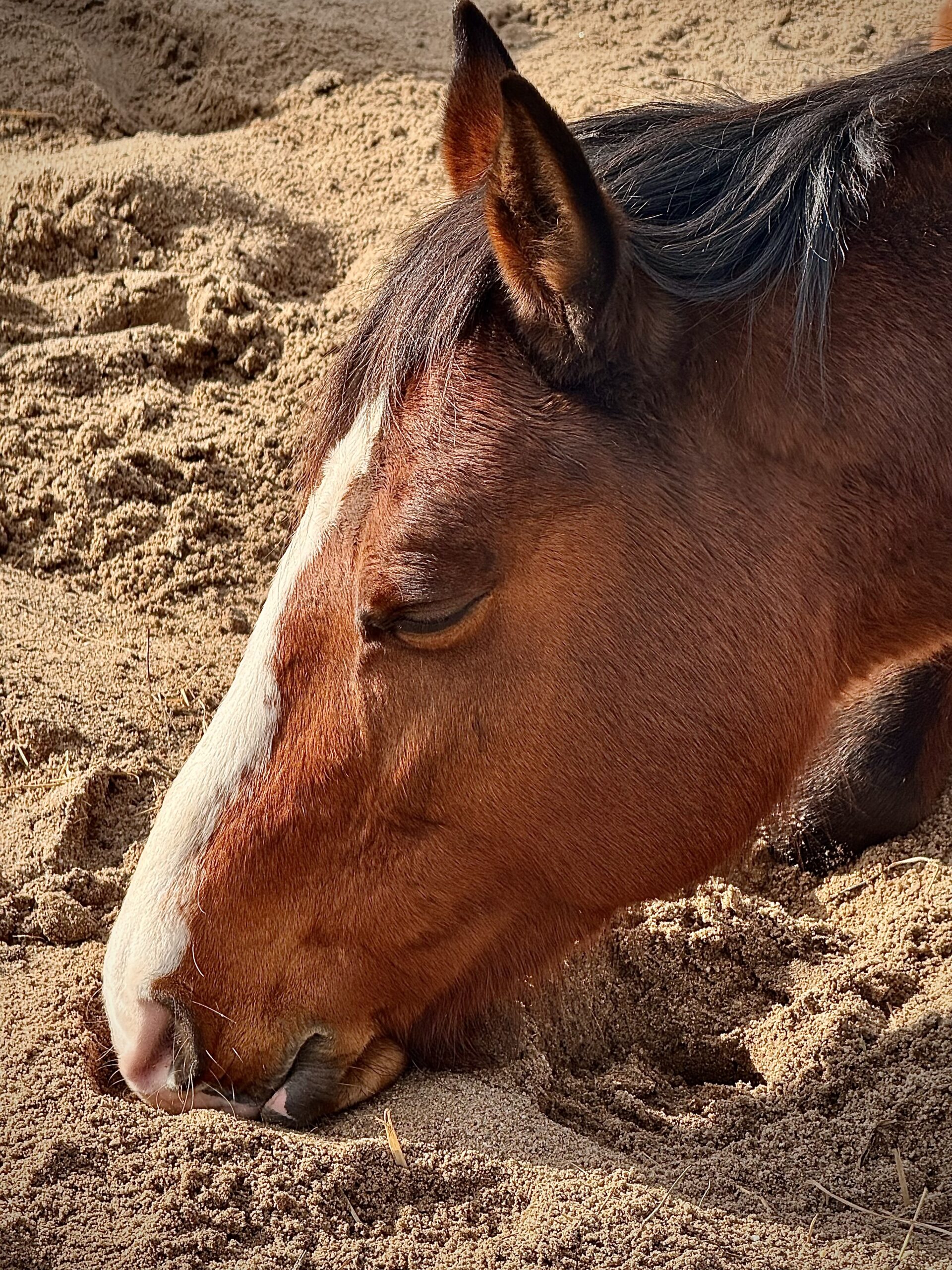 Burnout – ein anderer Weg in der Therapie