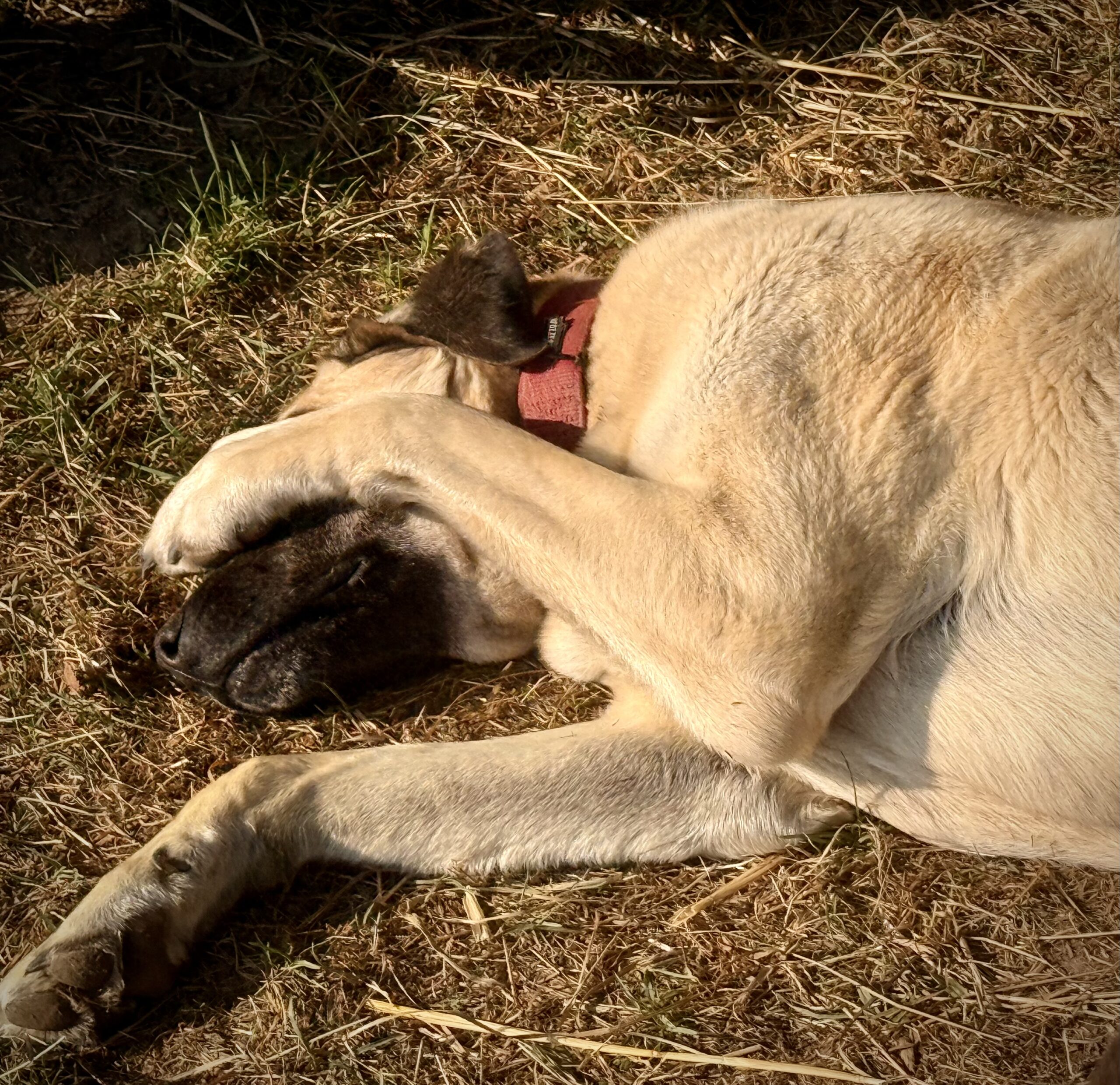 Ängste – Therapie bei Angststörungen
