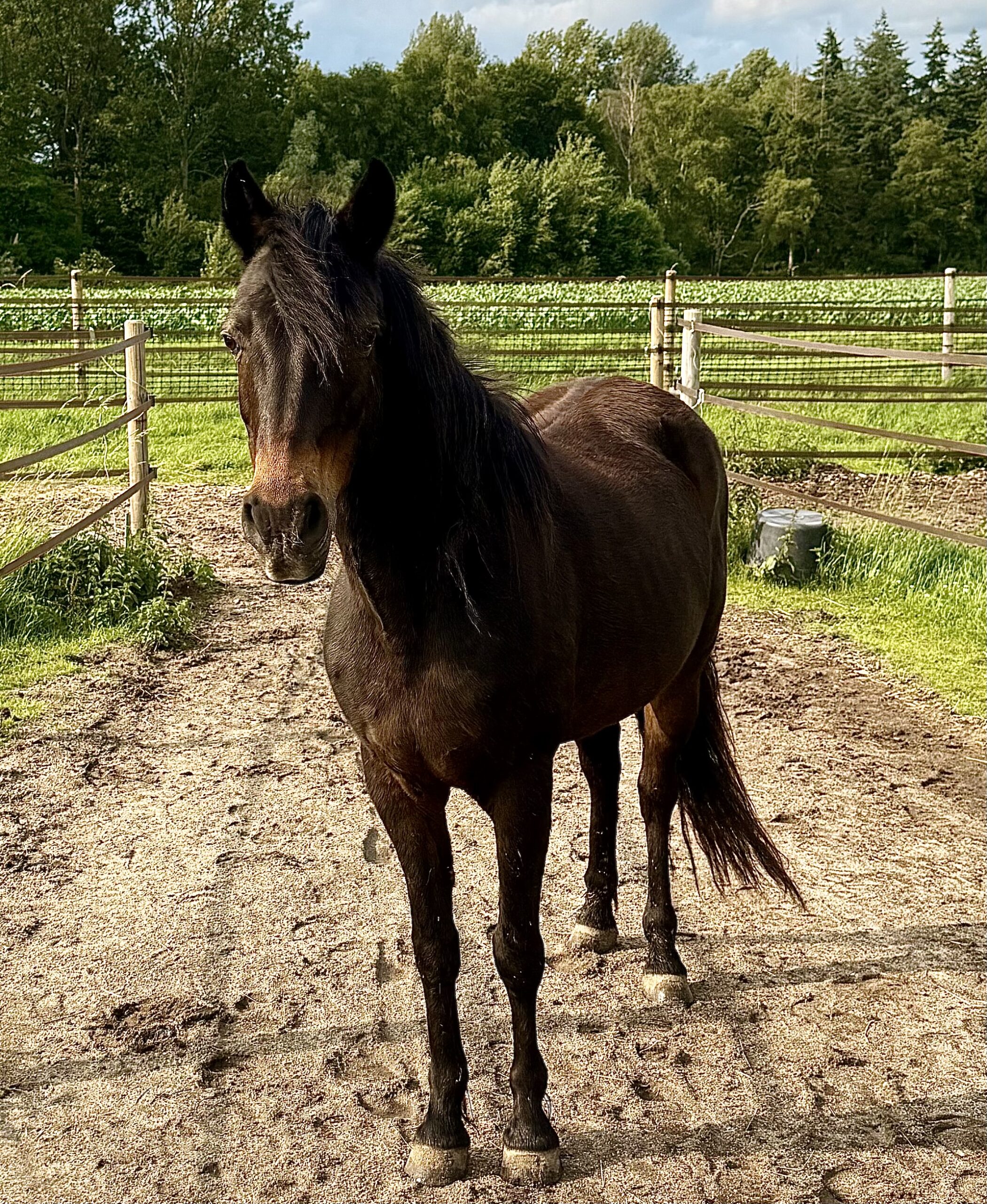 Sucht – Therapie jenseits von Kontrolle und Abstinenz