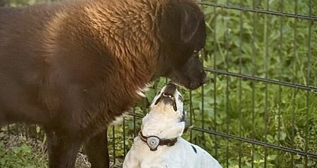 Panikattacken: wenn nichts mehr geht