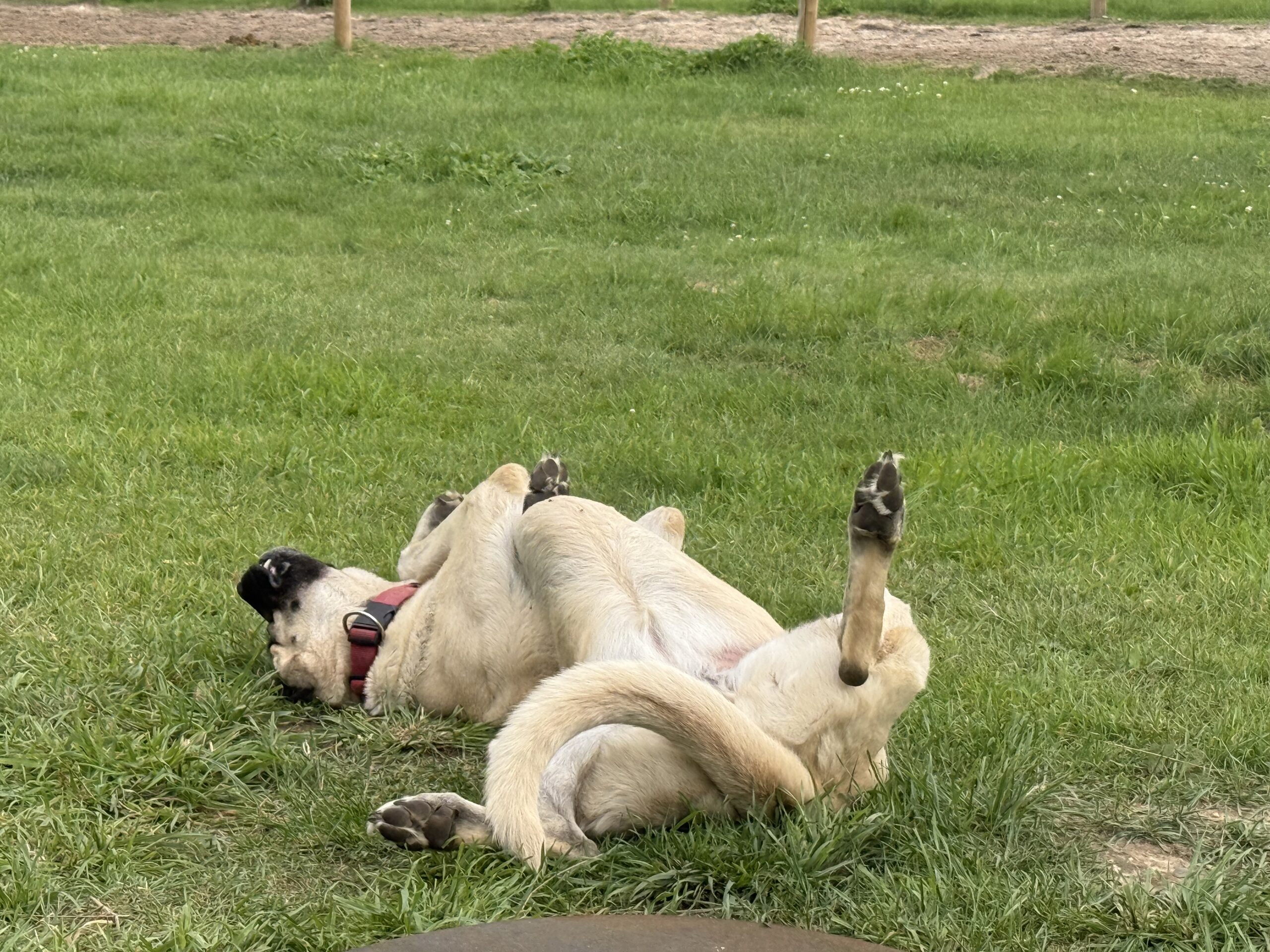 Online-Therapie: ortsunabhängig, flexibel, bequem