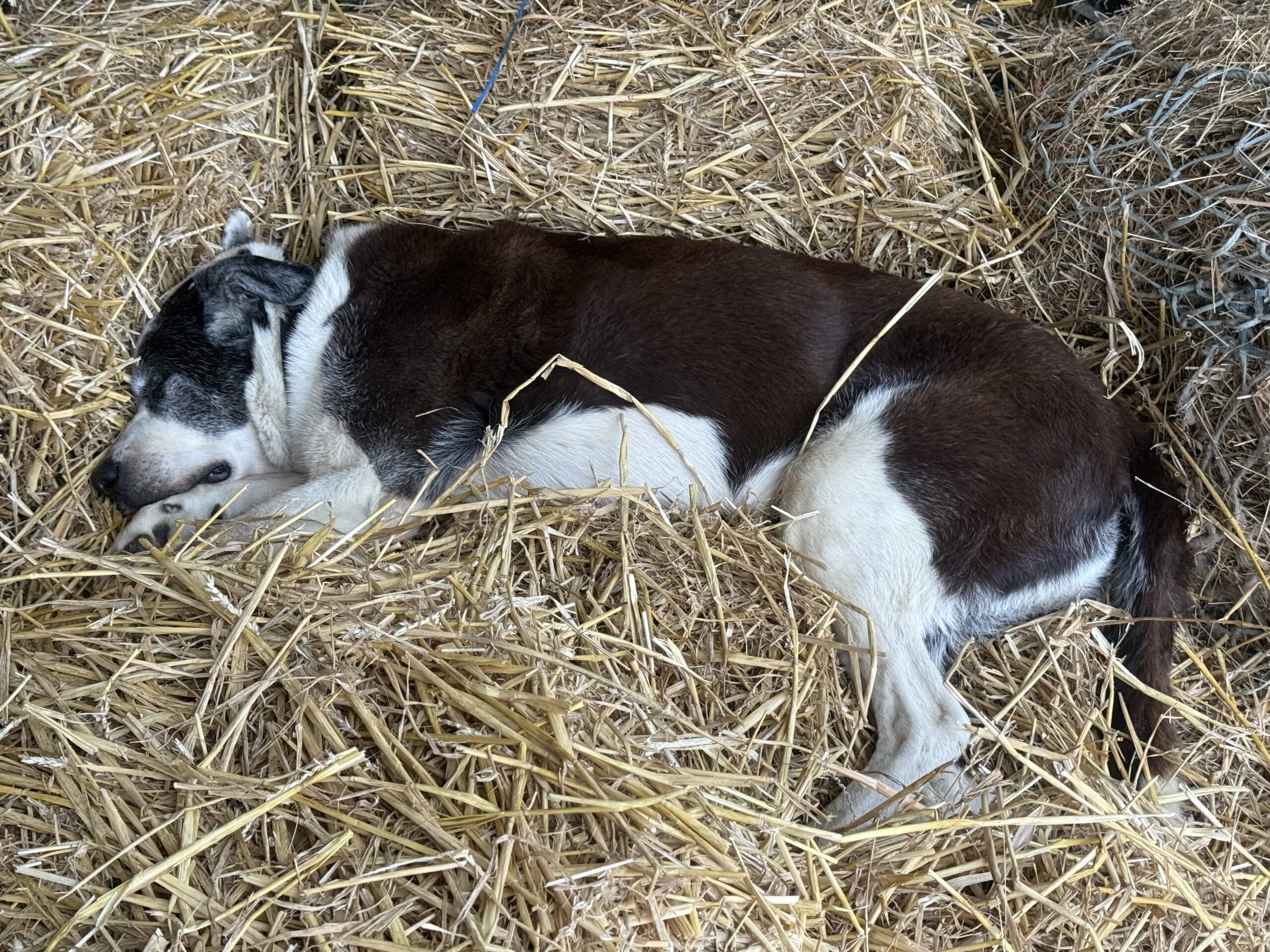 Depressionen – wirksame Hilfe