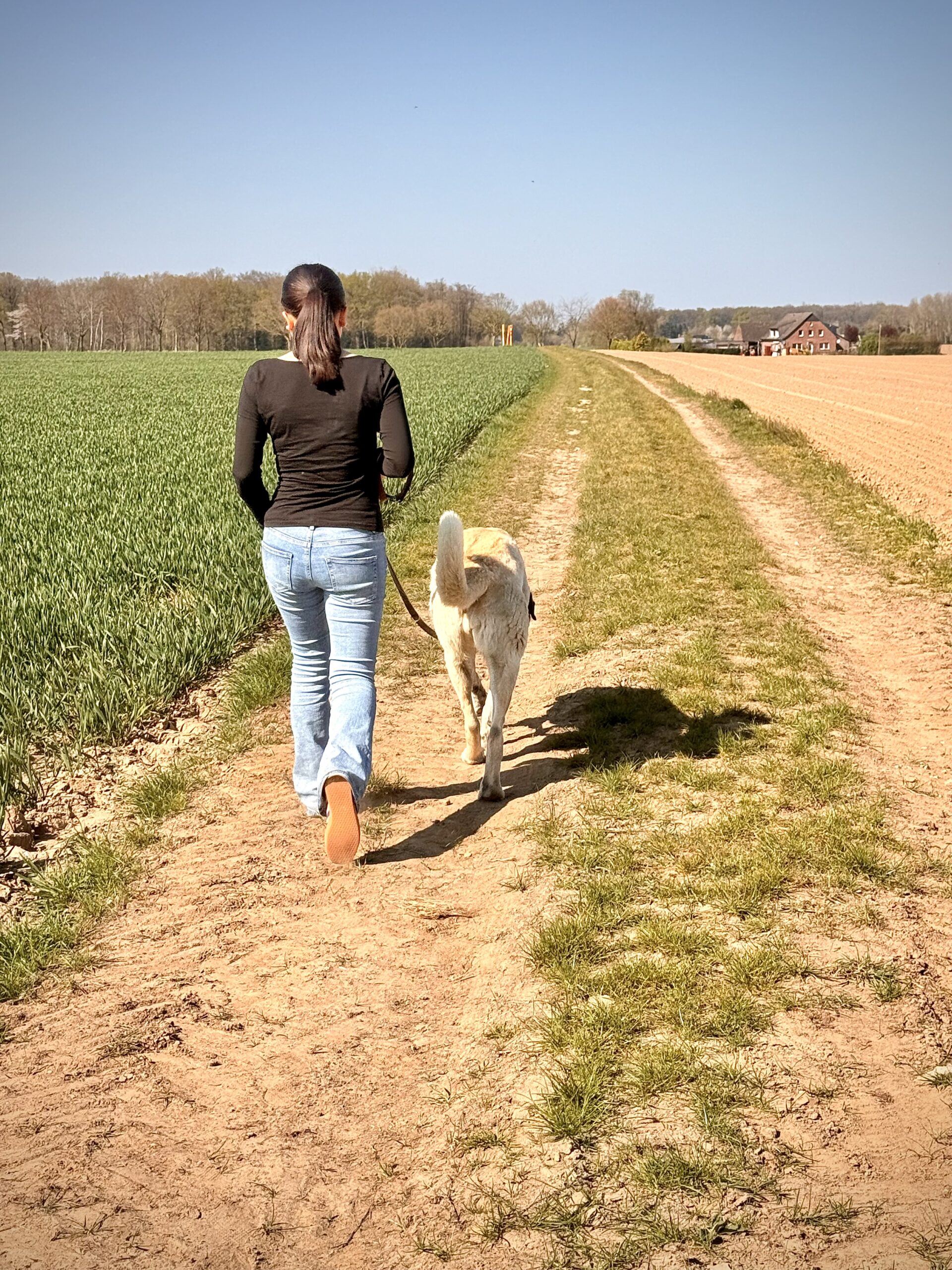 Psychotherapie für Jugendliche am Niederrhein