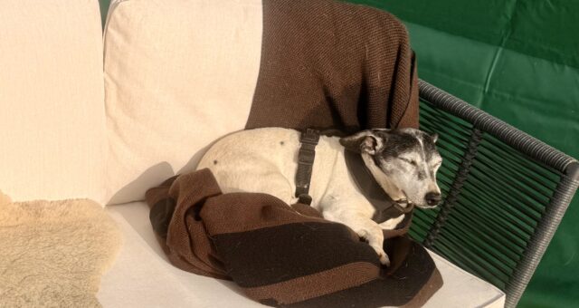 Ich war schon in Therapie – aber es hat nichts gebracht. Was dann?