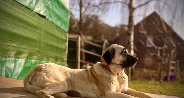 Mein Kind akzeptiert keine Grenzen – was Eltern tun können